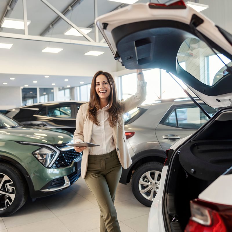 Vendita auto nuove e usate